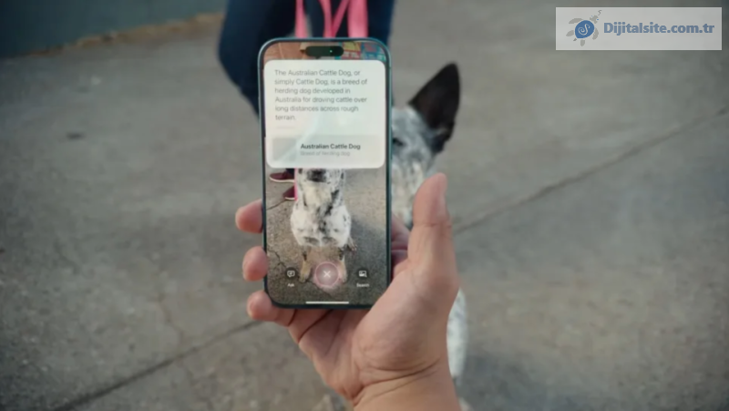 Görsel Zeka nasıl kullanılır, Apple'ın Google Lens'e bakışı
