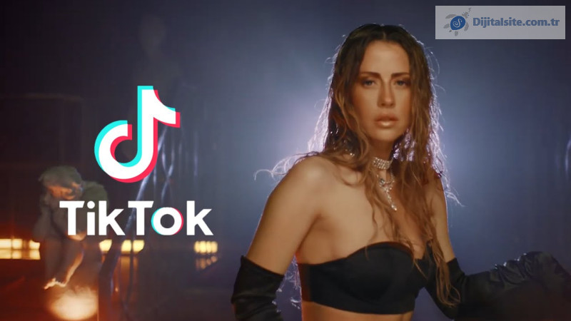 TikTok'a ne olacak? Potansiyel alıcılara bir göz atalım